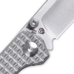Kizer Cutlery & Knives 3458RA2 Begleiter Mini Linerlock -Kizer Knife Shop 169733