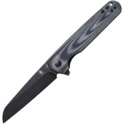 Kizer 3610C1 LP Linerlock Black