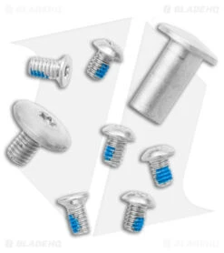 Kizer Azo Vanguard Begleiter Mini Liner Lock Knife Titanium (3" Satin) -Kizer Knife Shop Kizer Azo Vanguard Mini Begleiter LL SW Ti Satin BHQ 140468 jr hw