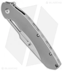 Kizer Raja Frame Lock Knife Titanium (3.74" Stonewash) Ki4537 -Kizer Knife Shop Kizer Raja FL Ti SW Ki4537 BHQ 106902 jr spine