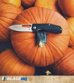 Kizer Vanguard Kesmec Liner Lock Knife Black G-10 (3.25" Satin) V4461N1 -Kizer Knife Shop Kizer kesmec black g10 v4461a1 BHQ 34583 dl